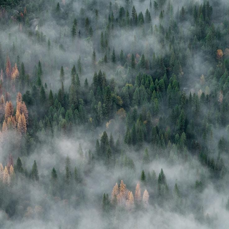 National parks landscape